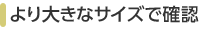 ���傫�ȃT�C�Y�Ŋm�F