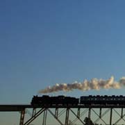 �D�� SL D51��Ƌ���