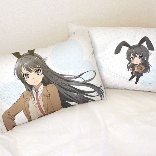 pillow_aobuta1_heya.jpg pillow_aobuta1_heya.jpg