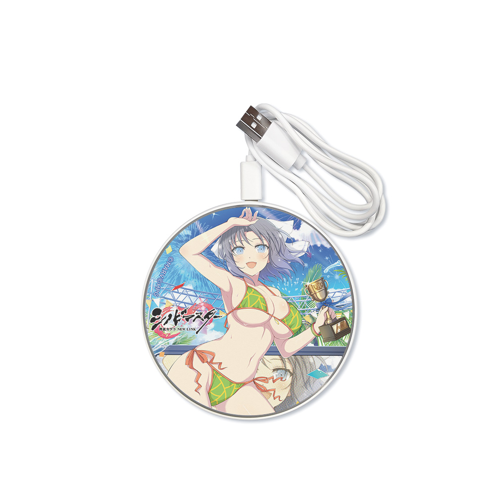 シノビマスター 閃乱カグラ NEW LINK デッキケース 雪泉＋鴇 新品未