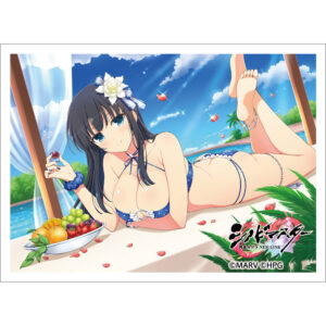 【新品未開封】閃乱カグラ スリーブ デッキケース まとめ売り シノビマスター 閃乱カグラ NEW LINKより「PU製デッキケース