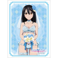 sleeve_stb11_1-200x200.jpg