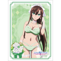 sleeve_stb13_1-200x200.jpg