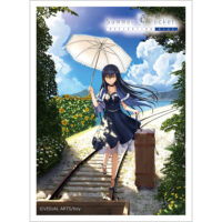 sleeve_sumrb29_sample-200x200.jpg