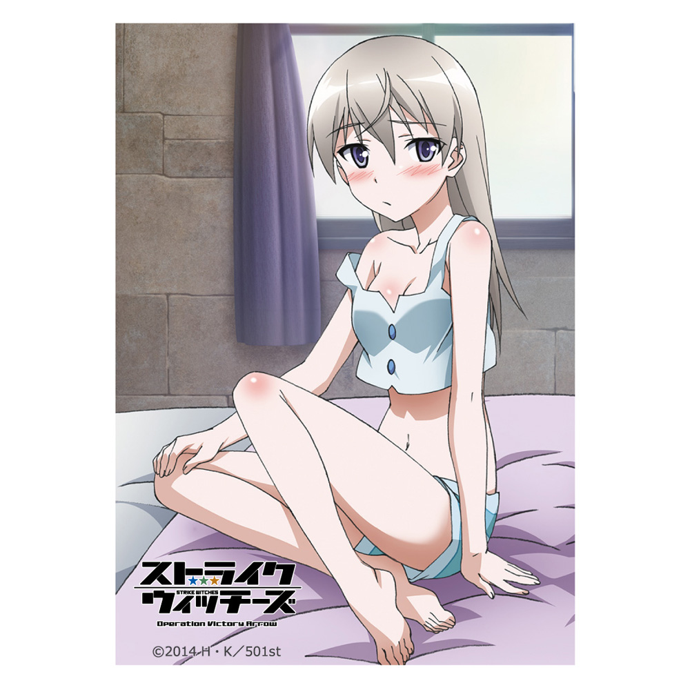 ストライクウィッチーズ]スリーブ（エイラ・イルマタル