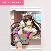 真一騎当千タペストリー二本 Amazon.co.jp: タペストリー 一騎当千ikkitousen 典韋 ポスター アニメ