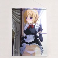 Amazon.co.jp: IS インフィニット ストラトス 特製 小説 CD
