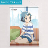 まどかマギカ タペストリー 劇場版 魔法少女まどか☆マギカ[新編]叛逆の物語] 描き下ろしB2