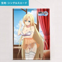 聖剣学院の魔剣使い 特大アクリルスタンド リーセリア＆レギーナ ルームウェア 聖剣学院の魔剣使い リーセリア レギーナ 特大 アクリルスタンド