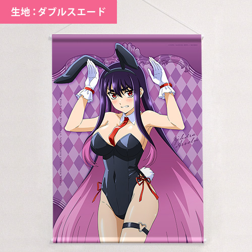 戦隊レッド 異世界で冒険者になる]アニメ描き下ろしB2