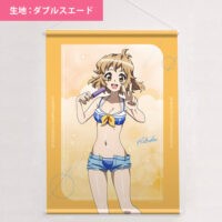 水希と晶 Gユウスケ描き下ろしWスエードB2タペストリー 「相州戦神館學園」 Amazon.co.jp: 相州戦神館學園 八命陣 初回版 : PCソフト