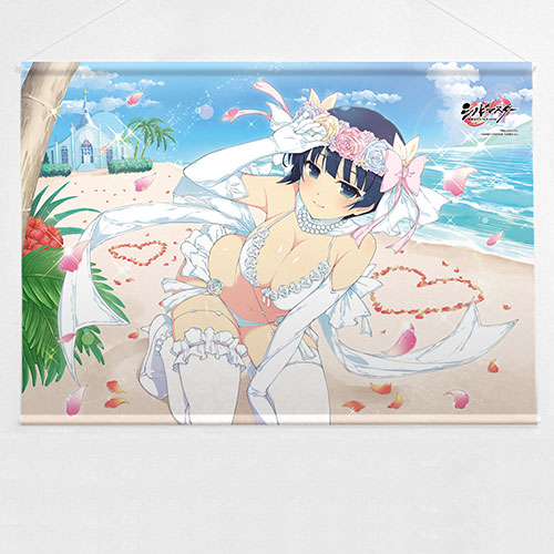 カーテン魂　閃乱カグラ　シノビマスター　スリーブ　まとめ シノビマスター 閃乱カグラ NEW LINK]スリーブ（日影）