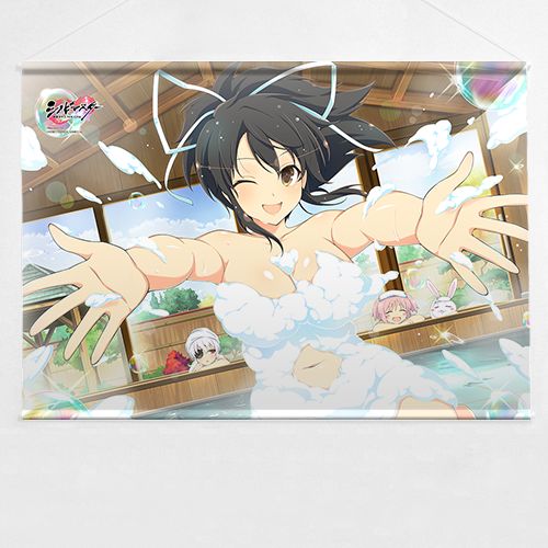 閃乱カグラ　両備　タペストリー 閃乱カグラ 両備 B2タペストリー