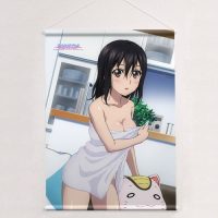 Amazon.co.jp: ストライク・ザ・ブラッドFINAL 特大タペストリー