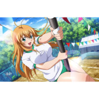 一騎当千]タオルケット（孫策伯符／熱戦棒倒し）