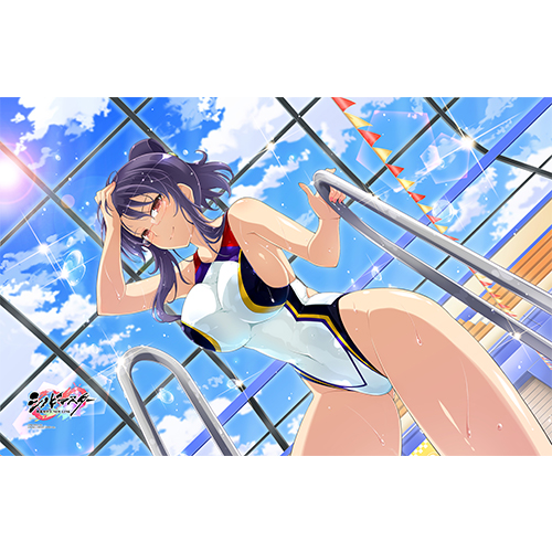 閃乱カグラ　NEW LINK　タオルケット　日影　新品 閃乱カグラ NEW LINK タオルケット 日影 閃乱カグラ シリーズ