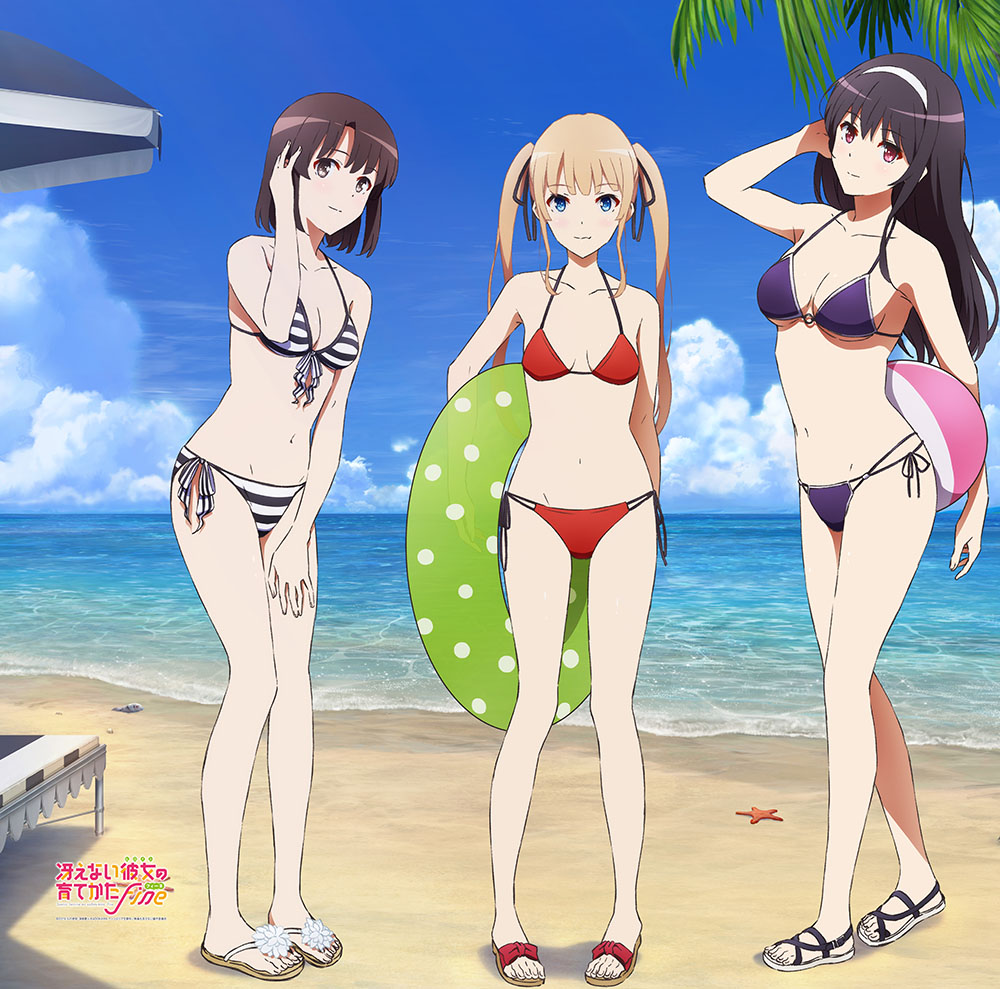 冴えない彼女の育てかた Fine 描き下ろしカーテン 水着