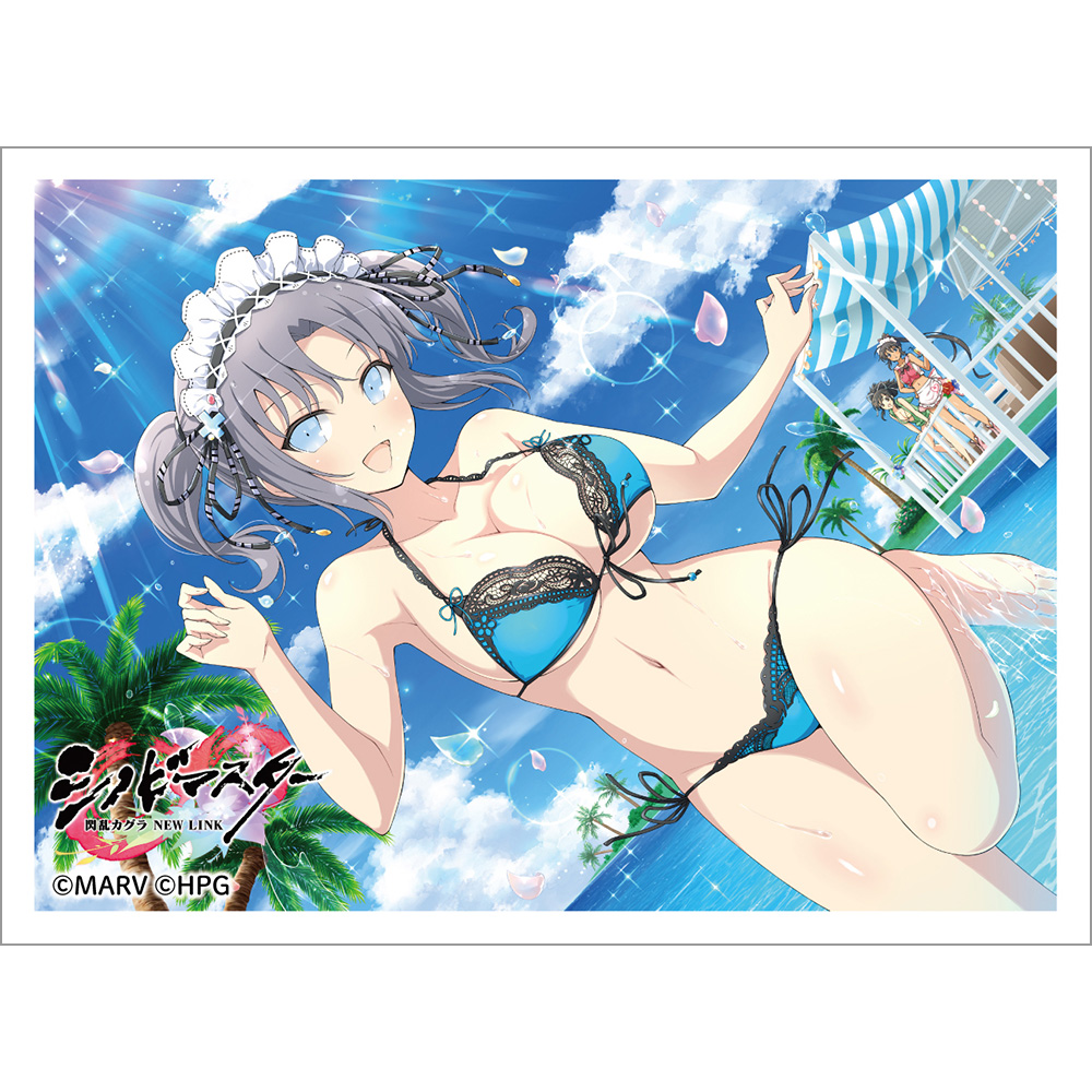 超希少品 入手困難 閃乱カグラ 雪泉 スリーブ