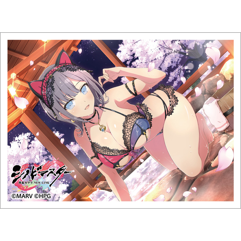 【新品未開封】閃乱カグラ スリーブ デッキケース まとめ売り シノビマスター 閃乱カグラ NEW LINK]デッキケース（夜桜／81の