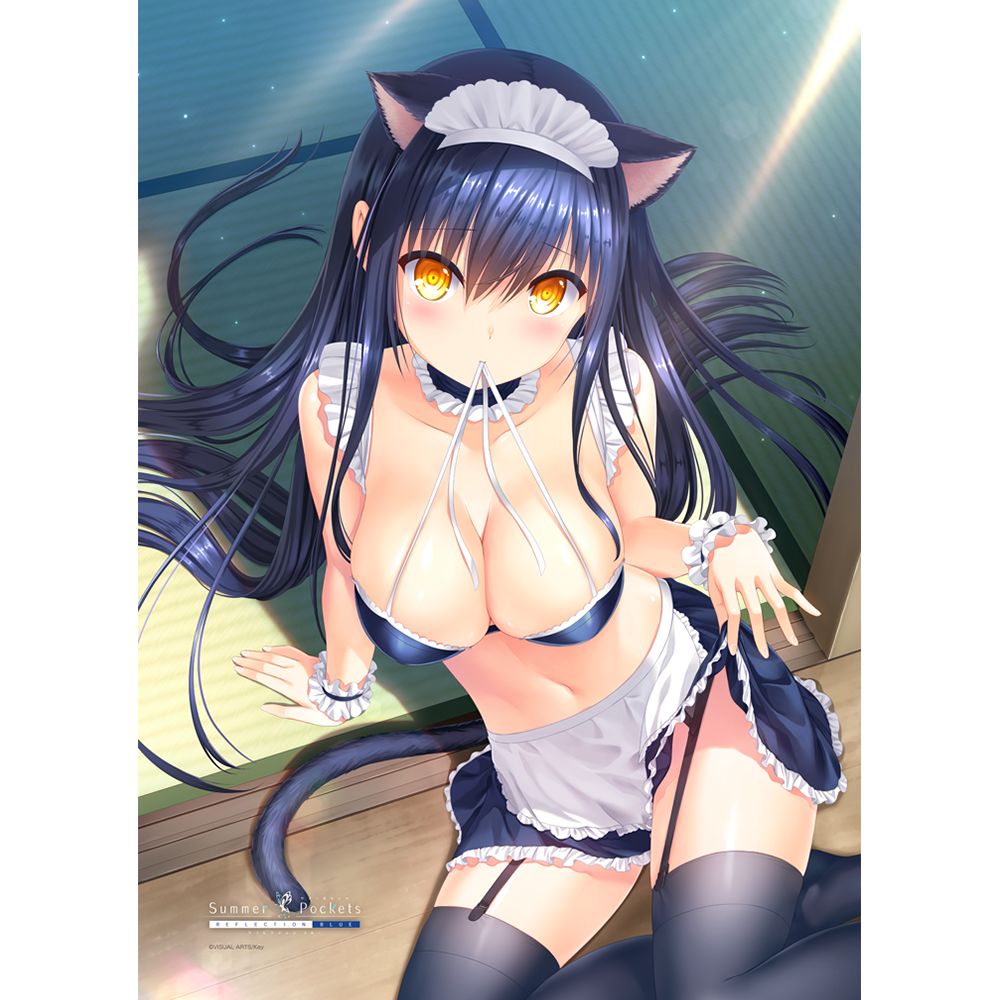 Summer Pockets Reflection Blue B2タペストリー 久島鴎 メイド Summer Pockets Reflection Blue B2タペストリー 久島鴎 メイド